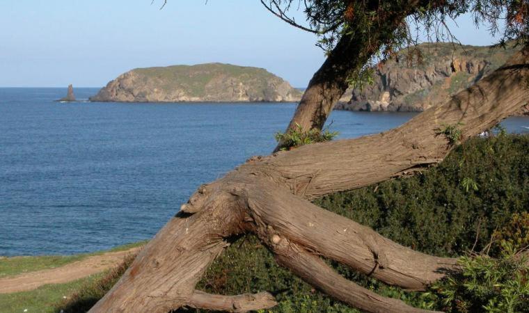 Appartamento In Casa Con Cortili Ad Arbus - Sardegna المظهر الخارجي الصورة